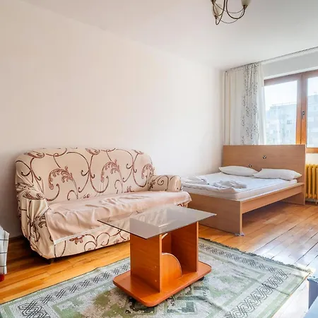 Rustic & Spacious 3br * Bucharest