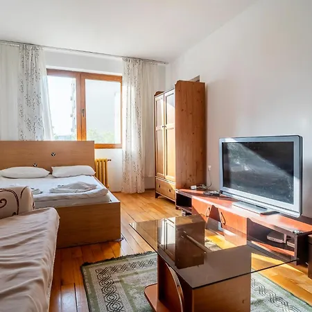 Rustic & Spacious 3br 公寓 布加勒斯特